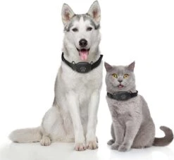 Reptrek® Minitrek GPS Tracker Voor Hond En Kat - Blauw - 4.9 X 3.3 X 1.5 Cm -Dieren Product Winkel 1200x1104 7