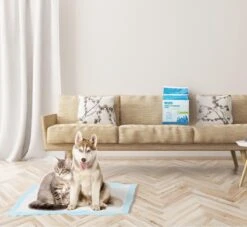 Nobleza 48DHD - Puppy Training Pads - 60 X 40 Cm - Zindelijkheidstraining - 50 Stuks -Dieren Product Winkel 1200x1105 3