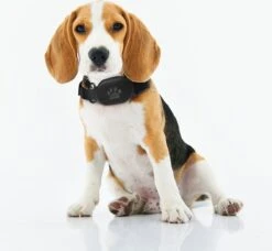 Reptrek® Minitrek GPS Tracker Voor Hond En Kat - Blauw - 4.9 X 3.3 X 1.5 Cm -Dieren Product Winkel 1200x1106 14