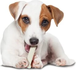 Nylabone Harde Bijters Kluif - Kip - Voor Honden Tot 20 Kg -Dieren Product Winkel 1200x1107 19