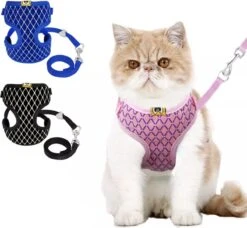 Merkloos Kattentuigje Met Looplijn - Kattenharnas - Kittentuigje - Kattenriem Met Looplijn - Kitten Tuigje Verstelbaar - Roze - Ixen -Dieren Product Winkel 1200x1107 3