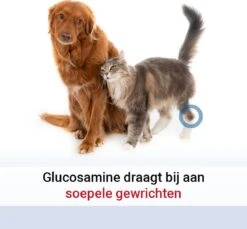 Pharmox Hond & Kat Glucosamine 1000 Ml - Belangrijke Bouwsteen Voor Honden En Katten - Geschikt Voor Ieder Type Hond Of Kat -Dieren Product Winkel 1200x1113 11