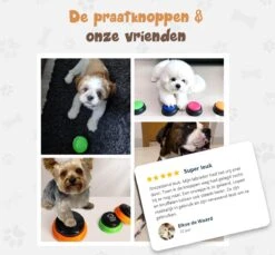 Praatknop Hond – Set Van 4 - Honden Speelgoed – Honden Training – Dogbuttons – Huisdier – Puppy Training - Hondenspeelgoed Intelligentie - Hond Opvoeden 21 Praatknop Hond – Set Van 4 - Honden Speelgoed – Honden Training – Dogbuttons – Huisdier – Puppy Training - Hondenspeelgoed Intelligentie - Hond Opvoeden -Dieren Product Winkel 1200x1113 15