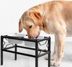 Navaris Verhoogde Voerbakset Met Standaard - 2 Keramische Voerbakken In Metalen Houder - 28 Cm Hoog - Voor Middelgrote En Grote Honden 11 Navaris Verhoogde Voerbakset Met Standaard - 2 Keramische Voerbakken In Metalen Houder - 28 Cm Hoog - Voor Middelgrote En Grote Honden -Dieren Product Winkel 1200x1114 16