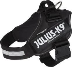 Julius K9 Julius-K9 IDC®Powertuig, L - Maat 1, Zwart 25 Julius K9 Julius-K9 IDC®Powertuig, L - Maat 1, Zwart -Dieren Product Winkel 1200x1115 8