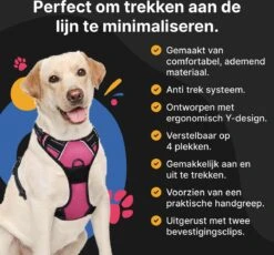 Hondentuig - Hondenharnas - Hondenriem - Anti Trek - Autogordel Hond - Zwart - Maat S -Dieren Product Winkel 1200x1116 11
