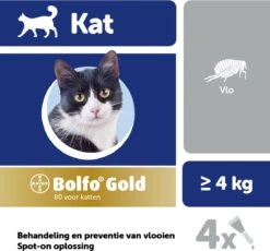 Bayer Bolfo Gold 80 Anti Vlooienmiddel - Kat - > 4 Kg - 4 Pipetten -Dieren Product Winkel 1200x1116