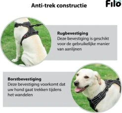 Filo Anti Trek Hondentuig S Met Hondenriem - Y Tuig Hond Verstelbaar - Hondentuigje Kleine Hond + Hondenlijn - Easy Walk Hondenharnas - Hondentuigjes - Leiband - Honden Tuigje - Puppy - Tuig - Hond -Dieren Product Winkel 1200x1117 14