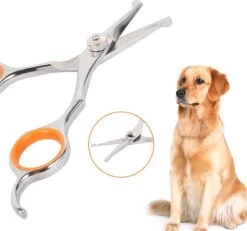 Merkloos Premium Gebogen Trimschaar Honden - Huisdier Trimmen - Hoofd, Poten Ogen & Oren - Kat & Hond Knippen - Veilige Schaar 12 Merkloos Premium Gebogen Trimschaar Honden - Huisdier Trimmen - Hoofd, Poten Ogen & Oren - Kat & Hond Knippen - Veilige Schaar -Dieren Product Winkel 1200x1120 8