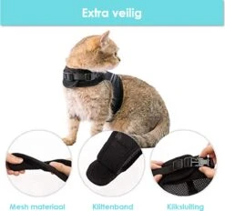 Kattentuigje Met Leiband Riem Kattenharnas Geel Maat L Kat & Kitten - Dieren Kattenriem - Cat Leash - Halsomvang 24 Tot 33cm - Borstomvang 36 Tot 41cm - Zootic® -Dieren Product Winkel 1200x1126 2