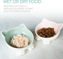 Navaris Voerbakjes Voor Katten - Set Van 2 Voer- En Waterbakken - Etensbak Van Keramiek - Met Antislip Voetjes - Kattenvorm - Roze/Groen 10 Navaris Voerbakjes Voor Katten - Set Van 2 Voer- En Waterbakken - Etensbak Van Keramiek - Met Antislip Voetjes - Kattenvorm - Roze/Groen -Dieren Product Winkel 1200x1128 4