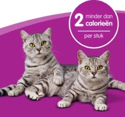 Whiskas Dentabites Kattensnoepjes - Kip - 8 X 40g -Dieren Product Winkel 1200x1129 1