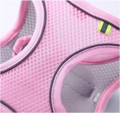 Hondentuigje Voor Kleine Puppy's & Kleine Honden - Blauw - Maat M -Dieren Product Winkel 1200x1130 15