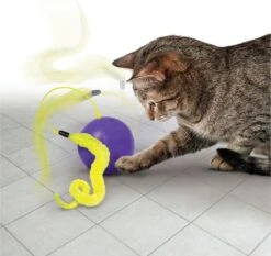 Kong Purrsuit Whirlwind 8,5X8,5X25,5 CM -Dieren Product Winkel 1200x1132 1