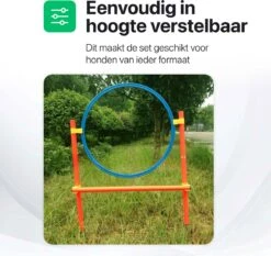 Tavaro Agility Voor De Hond - Honden Training - Hondentunnel - Springhoepel - Horde - Slalom - Honden Behendigheid Trainingsset -Dieren Product Winkel 1200x1132 12