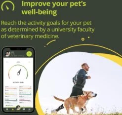 NR 1 GPS Tracker - Kippy - Onbeperkt, Geen Maximale Afstand - Voor Heel Europa - GPS Tracker Hond En Activiteitenmonitor - De Nieuwe GPS-tracker Halsband En Activiteiten Tracker Voor Honden En Katten, 38 Gr, Waterdicht, 10 Dagen Batterij, Stijlvol -Dieren Product Winkel 1200x1132 13
