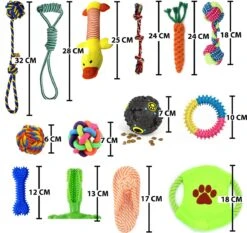 Filo Honden Speelgoed Set 14 Stuks - Hondenspeeltjes Knuffel - Hondenbal - Flostouw - Bot - Frisbee - Hondentouw - Hondenspeelgoed Intelligentie - Kauwspeelgoed Hond En Puppy - Bijtspeelgoed Hondenknuffel - Hondenspeeltje Met Piep -Dieren Product Winkel 1200x1133 18