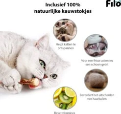 Filo Kattenspeelgoed Set 30 Stuks - Kattenspeeltje Kattentunnel - Kattenhengel - Kattenveertjes - Vis Met Kattenkruid - Kattenspeeltjes Intelligentie Kitten - Interactief Speelgoed Katten - Poezen Speeltjes -Dieren Product Winkel 1200x1133 3