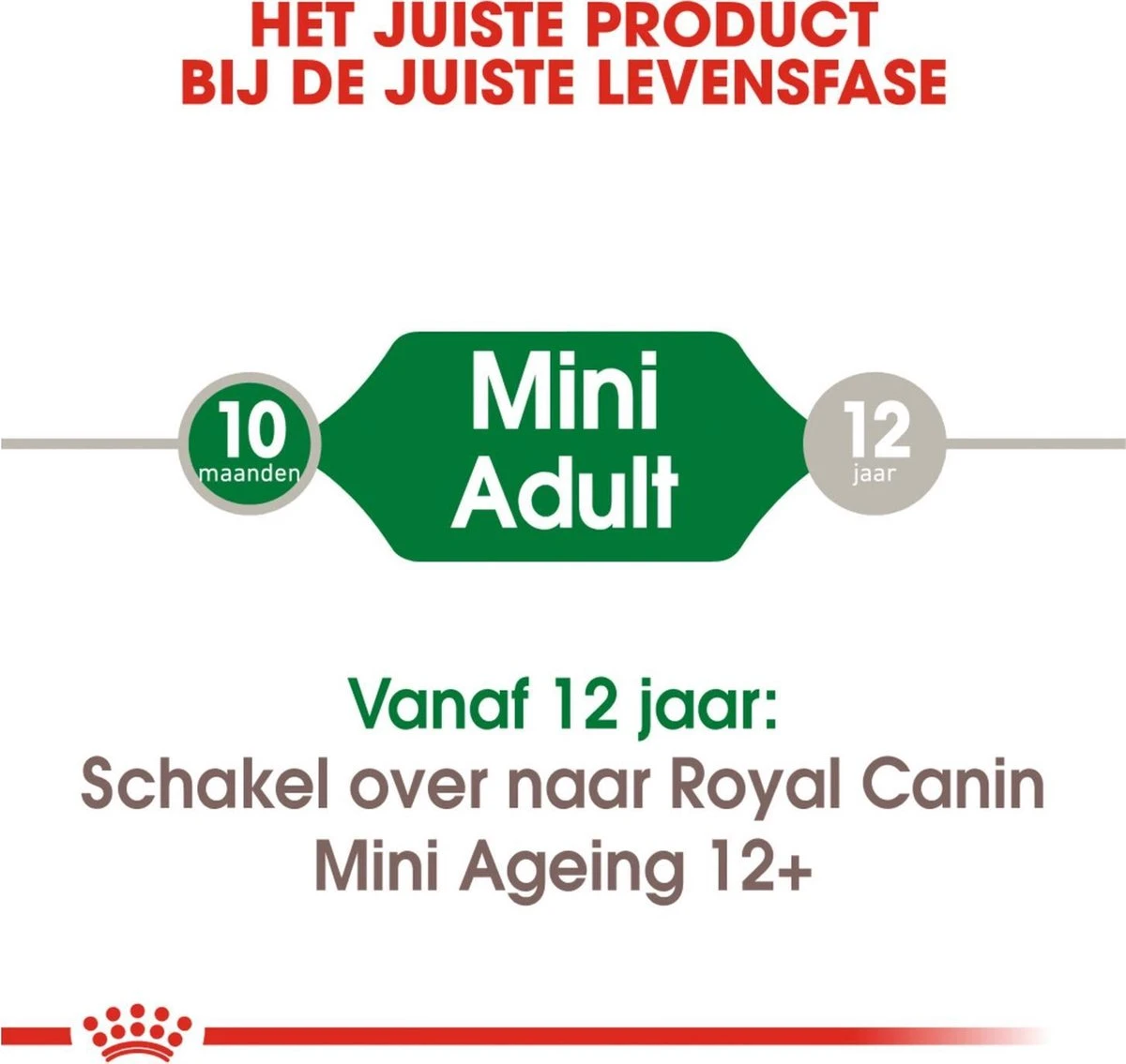 Royal Canin Shn Mini Adult Pouch - Hondenvoer - 12 X 85 G 2 Royal Canin Shn Mini Adult Pouch - Hondenvoer - 12 X 85 G - Afbeelding 2