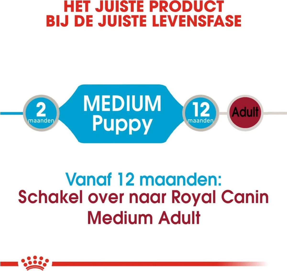 Royal Canin Shn Medium Puppy Pouch - Hondenvoer - 10 X 140 G 10 Royal Canin Shn Medium Puppy Pouch - Hondenvoer - 10 X 140 G - Afbeelding 10