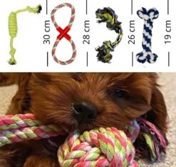 (Goedkoopste) Honden Speelgoed Set 15 Stuks Geschikt Voor Puppy's T/m Middelgrote Honden - Honden Kauw Speelgoed - 15 Stuks - Hondenspeeltjes - Intelligentie - Touw - Flostouw - Bijtring - Bal - Huisdieren Speelgoed -Dieren Product Winkel 1200x1135 19