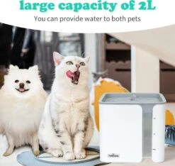 Nobleza USB Drinkfontein Voor Hond/Kat - 2L - Incl. 2 Filters - Wit 17 Nobleza USB Drinkfontein Voor Hond/Kat - 2L - Incl. 2 Filters - Wit -Dieren Product Winkel 1200x1136 3