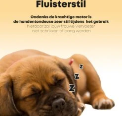 Hondentondeuse Professioneel - 2 In 1 - Honden & Katten - Hondentrimmer - Dikke & Dunne Vacht -Dieren Product Winkel 1200x1136 8