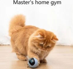 Otiume Interactieve Speelbal - Slimme Interactieve Jaag Speeltje Voor Katten - Kattenspeeltjes - Intelligente Jaagbal - AI -USB Oplaadbaar - LED - Blauw -Dieren Product Winkel 1200x1137 2
