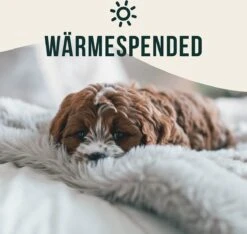 Happilax Fluffy Hondendeken Voor Auto & Bank, Wasbare Hondenmat Voor Op Reis, Grijs, L -Dieren Product Winkel 1200x1139 20