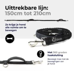 Canicross Looplijn Hond Met Heupriem Voor Hardlopen - Elastische Handsfree Hondenriem - Honden Trainingslijn - 150/210cm - Zwart 10 Canicross Looplijn Hond Met Heupriem Voor Hardlopen - Elastische Handsfree Hondenriem - Honden Trainingslijn - 150/210cm - Zwart -Dieren Product Winkel 1200x1140 7