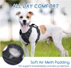 Nobleza 42ZHX - Hondenharnas - Hondentuigje - Anti Trek - M - Zwart 10 Nobleza 42ZHX - Hondenharnas - Hondentuigje - Anti Trek - M - Zwart -Dieren Product Winkel 1200x1141 11