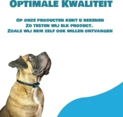 Exomar® Anti Blafband Voor Honden Blafband Anti Blaf Apparaat Blafband Zonder Schok - Diervriendelijk -Dieren Product Winkel 1200x1141 7