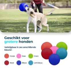 Jolly Pets Jolly Soccer Ball – Hondenspeelgoed – Hondenspeeltjes Voor Binnen En Buiten – Hondenbal Voor Honden – Hondenvoetbal – Jollyflex Stevig Kunststof – Drijvend Hondenspeeltje – Ø20cm – Licht Blauw 12 Jolly Pets Jolly Soccer Ball – Hondenspeelgoed – Hondenspeeltjes Voor Binnen En Buiten – Hondenbal Voor Honden – Hondenvoetbal – Jollyflex Stevig Kunststof – Drijvend Hondenspeeltje – Ø20cm – Licht Blauw -Dieren Product Winkel 1200x1142 21