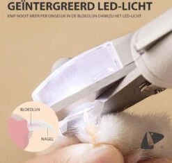 PETKIT® Professionele Dieren Nagelknipper - Nagelknipper Hond - Met LED - Met Vijl - Nageltang -Dieren Product Winkel 1200x1143 11