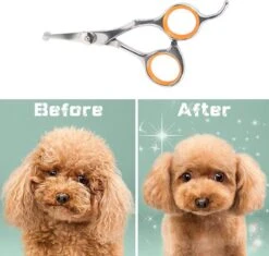Merkloos Premium Gebogen Trimschaar Honden - Huisdier Trimmen - Hoofd, Poten Ogen & Oren - Kat & Hond Knippen - Veilige Schaar 13 Merkloos Premium Gebogen Trimschaar Honden - Huisdier Trimmen - Hoofd, Poten Ogen & Oren - Kat & Hond Knippen - Veilige Schaar -Dieren Product Winkel 1200x1144 3