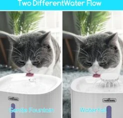 Nobleza Drinkfontein Voor Katten 14 Nobleza Drinkfontein Voor Katten -Dieren Product Winkel 1200x1145 2