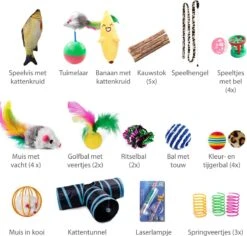Filo Kattenspeelgoed Set 30 Stuks - Kattenspeeltje Kattentunnel - Kattenhengel - Kattenveertjes - Vis Met Kattenkruid - Kattenspeeltjes Intelligentie Kitten - Interactief Speelgoed Katten - Poezen Speeltjes -Dieren Product Winkel 1200x1145 3