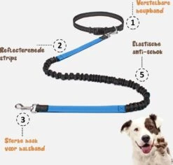 Hardloopriem Hond – Honden Riem Handsfree – Hardlopen Met Hond – 160-260 Cm Blauw - Hardloopband Hond – Halsband Hond – Hondenlijn – Leiband Hond 15 Hardloopriem Hond – Honden Riem Handsfree – Hardlopen Met Hond – 160-260 Cm Blauw - Hardloopband Hond – Halsband Hond – Hondenlijn – Leiband Hond -Dieren Product Winkel 1200x1146 2
