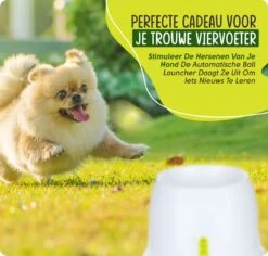 VEDIC® - Automatische Ballenwerper - Hondenspeelgoed - Ballenschieter Voor Honden -Dieren Product Winkel 1200x1146 25