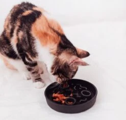 District 70 BAMBOO Slowfeeder - Stijlvolle Anti-schrok Voerbak Voor Katten – Merengue - Ø13 Cm 22 District 70 BAMBOO Slowfeeder - Stijlvolle Anti-schrok Voerbak Voor Katten – Merengue - Ø13 Cm -Dieren Product Winkel 1200x1147 14