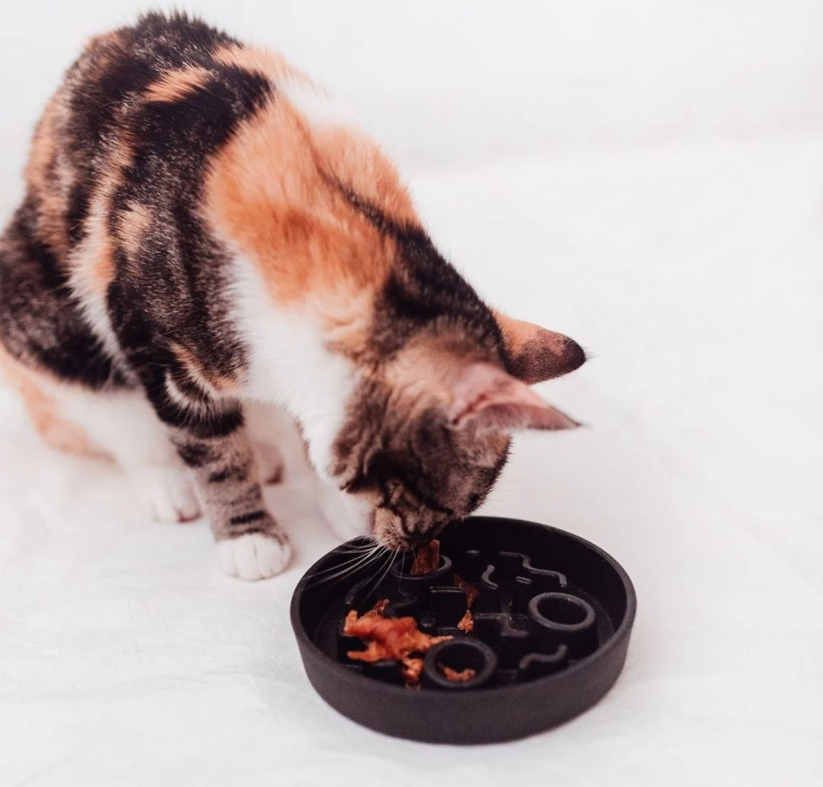 District 70 BAMBOO Slowfeeder - Stijlvolle Anti-schrok Voerbak Voor Katten – Merengue - Ø13 Cm 7 District 70 BAMBOO Slowfeeder - Stijlvolle Anti-schrok Voerbak Voor Katten – Merengue - Ø13 Cm - Afbeelding 7