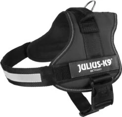 Julius K9 K9®Powertuig, M - Maat 0, Zwart