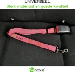 Doxie® Autogordel Hond – Honden Autogordel – Reflecterend – Schokabsorberend – Verstelbaar Van 60 Tot 80 Cm – Neon Roze -Dieren Product Winkel 1200x1152 8