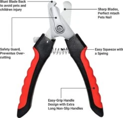 Merkloos Professionele Nagelschaar - Dieren Nagelschaar - Rood & Zwart - Honden Nagelknipper - Hondennagels - Honden Knip Schaar - Honden Knipsch 9 Merkloos Professionele Nagelschaar - Dieren Nagelschaar - Rood & Zwart - Honden Nagelknipper - Hondennagels - Honden Knip Schaar - Honden Knipsch -Dieren Product Winkel 1200x1153 12