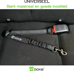 Doxie® Autogordel Hond – Honden Autogordel – Reflecterend – Schokabsorberend – Verstelbaar Van 60 Tot 80 Cm – Zwart -Dieren Product Winkel 1200x1153 23