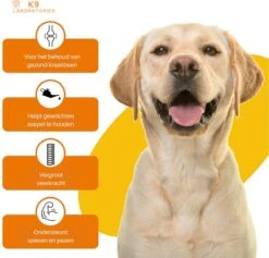 K9 Laboratories - Voordeel Pak - 120 Stuks - Voor Honden - Met Gewrichtsklachten - Artrose - Stijve Gewrichten - Ouderdom - HD - ED - Bevat Glucosamine - MSM - Chondorïtine - Voor Behoud Van Kraakbeen -Dieren Product Winkel 1200x1153 38