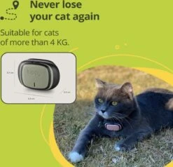 NR 1 GPS Tracker - Kippy - Onbeperkt, Geen Maximale Afstand - Voor Heel Europa - GPS Tracker Hond En Activiteitenmonitor - De Nieuwe GPS-tracker Halsband En Activiteiten Tracker Voor Honden En Katten, 38 Gr, Waterdicht, 10 Dagen Batterij, Stijlvol -Dieren Product Winkel 1200x1154 7