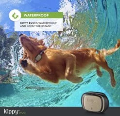 NR 1 GPS Tracker - Kippy - Onbeperkt, Geen Maximale Afstand - Voor Heel Europa - GPS Tracker Hond En Activiteitenmonitor - De Nieuwe GPS-tracker Halsband En Activiteiten Tracker Voor Honden En Katten, 38 Gr, Waterdicht, 10 Dagen Batterij, Stijlvol -Dieren Product Winkel 1200x1155 27