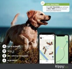 NR 1 GPS Tracker - Kippy - Onbeperkt, Geen Maximale Afstand - Voor Heel Europa - GPS Tracker Hond En Activiteitenmonitor - De Nieuwe GPS-tracker Halsband En Activiteiten Tracker Voor Honden En Katten, 38 Gr, Waterdicht, 10 Dagen Batterij, Stijlvol -Dieren Product Winkel 1200x1155 30