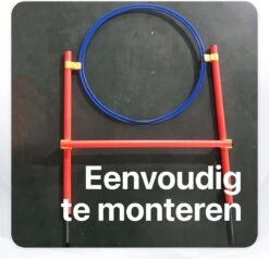 Tavaro Agility Voor De Hond - Honden Training - Hondentunnel - Springhoepel - Horde - Slalom - Honden Behendigheid Trainingsset -Dieren Product Winkel 1200x1156 22